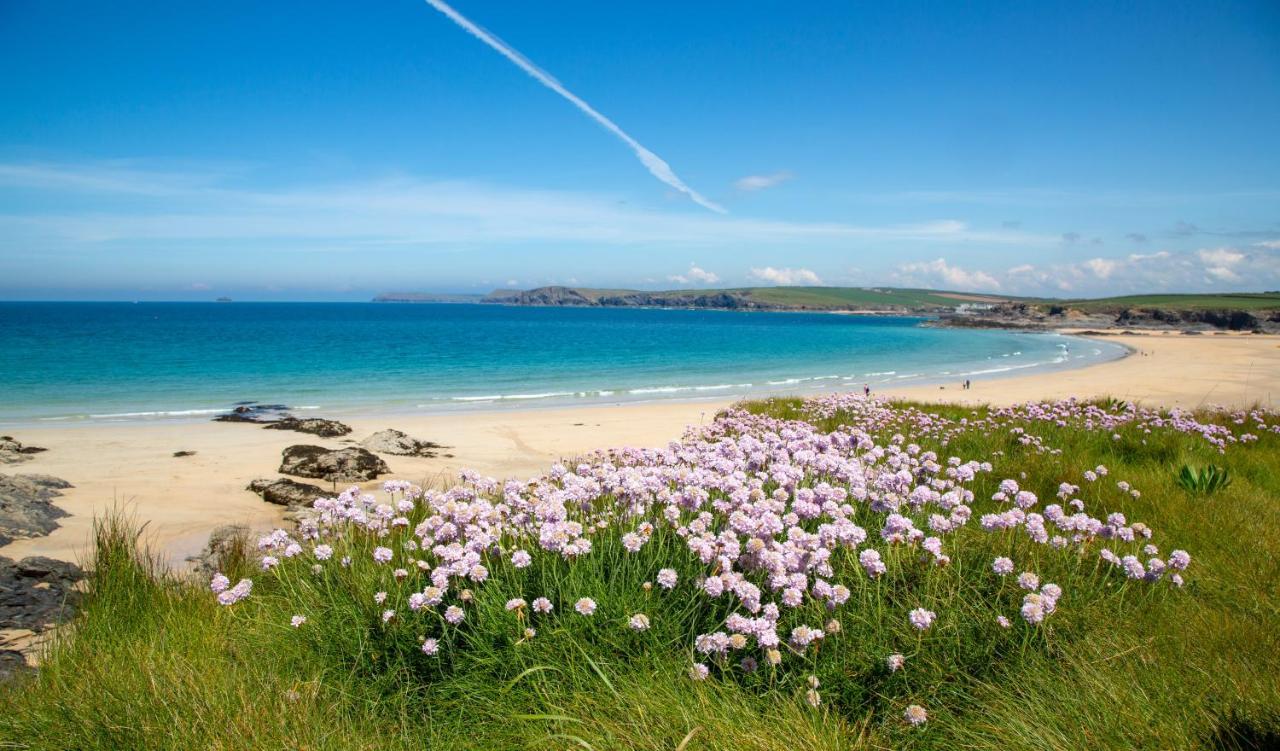 Trethvor House Lejlighed Padstow Eksteriør billede